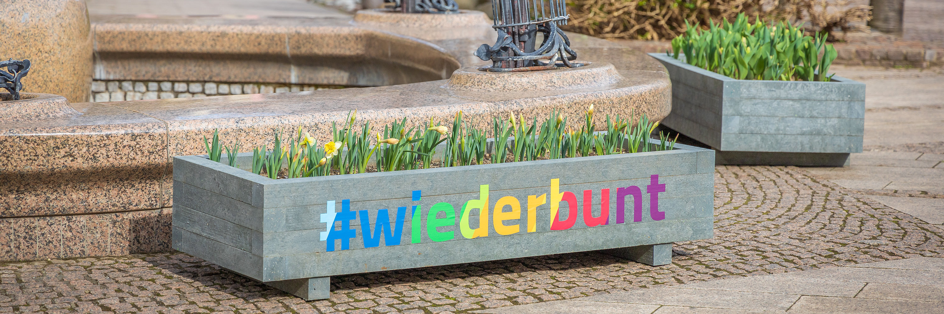 #wiederbunt Beet