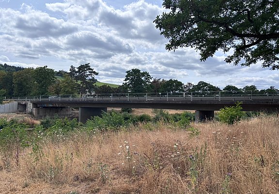 Brücke mit trockenem Gras im Vordergrund