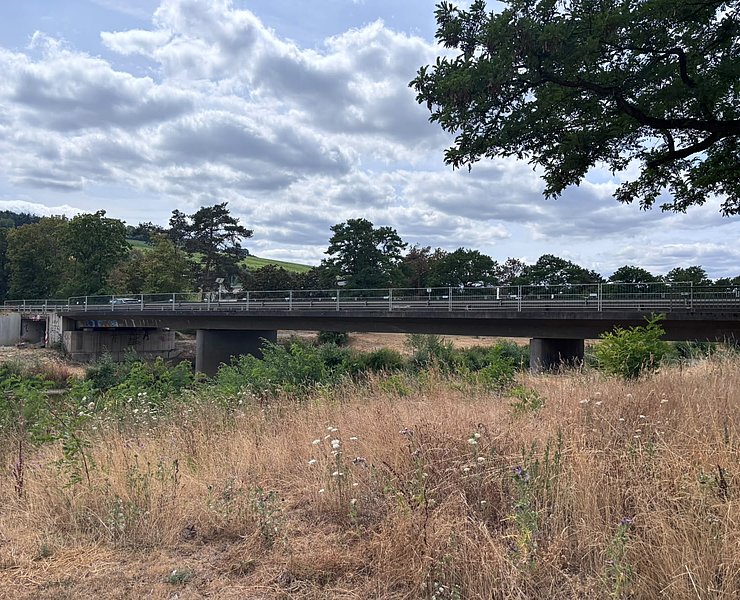 Brücke mit trockenem Gras im Vordergrund