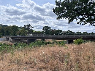 Brücke mit trockenem Gras im Vordergrund