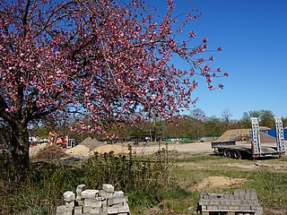 Der Standort des alten TWINs mit blühendem Kirschbaum und Baugeräten in Bad Neuenahr-Ahrweiler unter blauem Himmel.