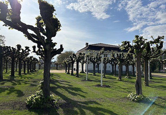 Tennisanlage des HTC Bad Neuenahr mit gepflegtem Park und einem Lindenhain in Bad Neuenahr-Ahrweiler.
