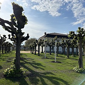 Tennisanlage des HTC Bad Neuenahr mit gepflegtem Park und einem Lindenhain in Bad Neuenahr-Ahrweiler.