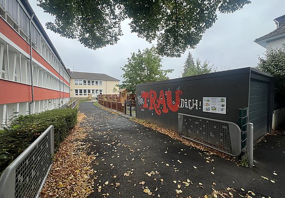 Aloisius-Grundschule in Ahrweiler mit Baustellenzaun und herbstlichem Laub auf dem Schulweg im Stadtteil Ahrweiler.