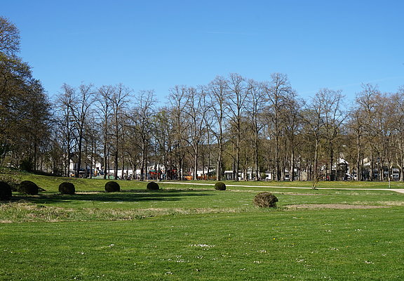 Grünes Gras und blauer Himmel im Dahliengarten