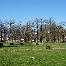 Grünes Gras und blauer Himmel im Dahliengarten