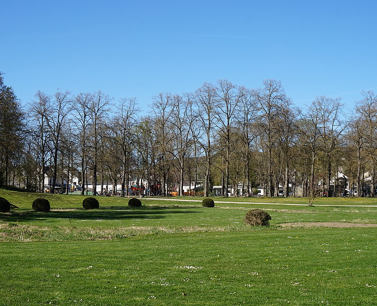 Grünes Gras und blauer Himmel im Dahliengarten